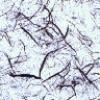 Textures 351